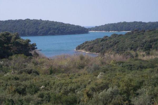 וינקורן Stella Apartments מראה חיצוני תמונה